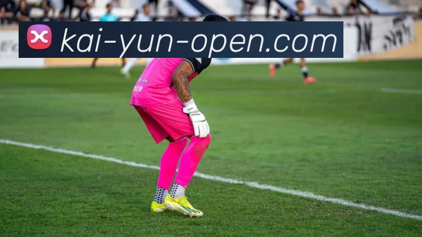 开云平台生态图